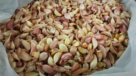 The garlics in a bag.の写真素材