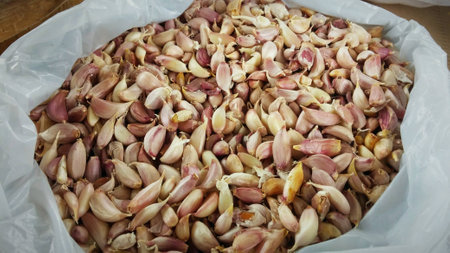 The garlics in a bag.の写真素材