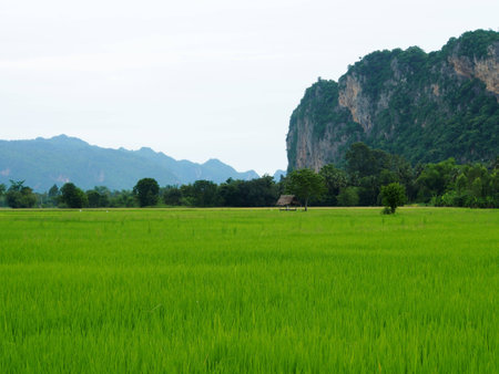 Natureの写真素材