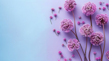 Purple flowers on pastel background. Flat lay, top view, copy spaceの素材
