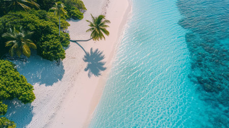 Aerial view of beautiful tropical beach and sea with coconut palm treeの素材