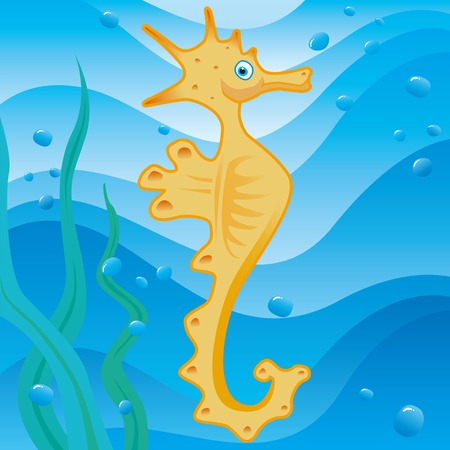 cute little seahorseのイラスト素材