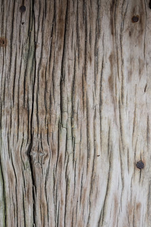 Old striped boardの写真素材