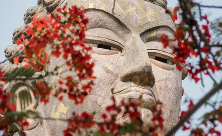 Close-up big Buddha image face in blurred red flower frameの写真素材