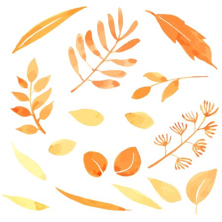 Autumn Leaves watercolor collection isolated on white background , Hand drawn painted for Greeting Card ,Wallpaper ,Postcards, Product,Packaging and moreのイラスト素材