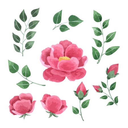 Red Flowers watercolor collection on white background , Hand drawn for Greeting Card , Wedding Card, Cases design, Postcards, Product, Notebook and moreのイラスト素材