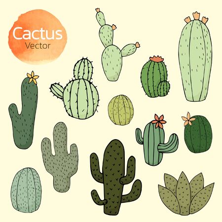 Collection of Cactus, Hand drawn cactus, Vector illustration sorts and designのイラスト素材