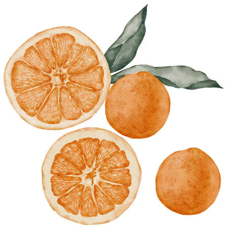 Orange watercolor Element isolate on white background
