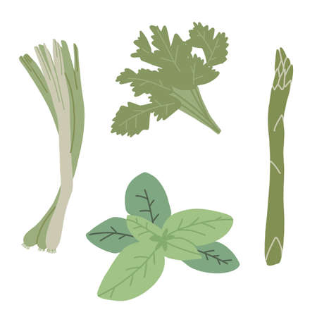 Vegetable hand paint collectionの写真素材