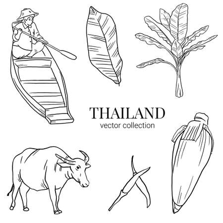 Thailand hand draw doodleのイラスト素材