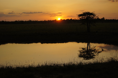 At sunsetの写真素材