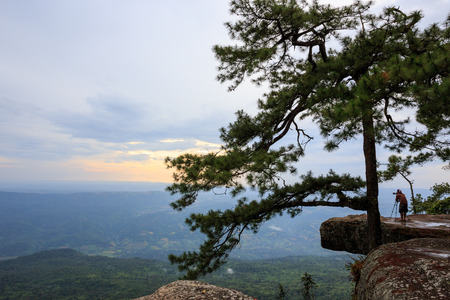 Sunset at Pha Lom Sak Cliff Phukradueng Nationalparkの写真素材
