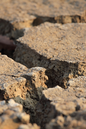 Dry cracked earth backgroundの写真素材