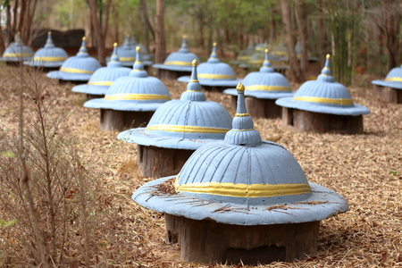 Elephant Graveyard in thai landの写真素材
