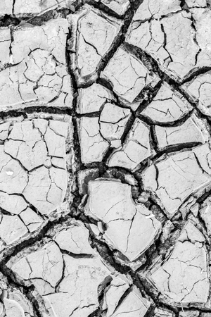 Dry and cracked earth texture for background.の写真素材