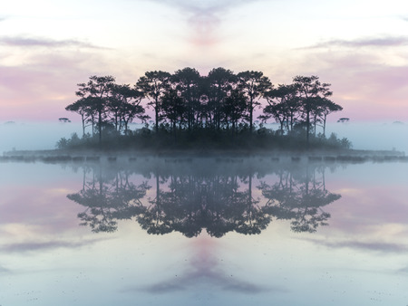 atmospheric misty sunrise over autumn forest lake