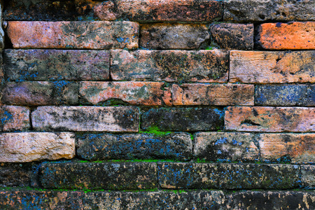 Old brick wall with lichen green.