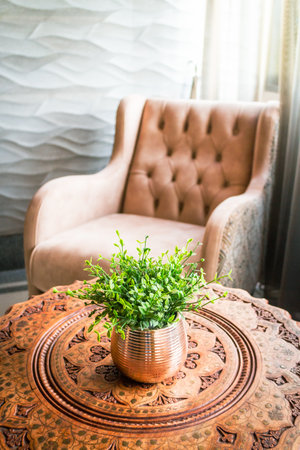 Small potted plants used to decorate the table in the living room.の写真素材
