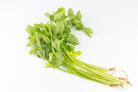fresh celery isolated on white background, fresh celery on white backgroundの写真素材