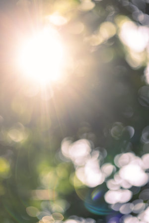 Abstract natural bokeh background, defocused nature background with sun lightの写真素材
