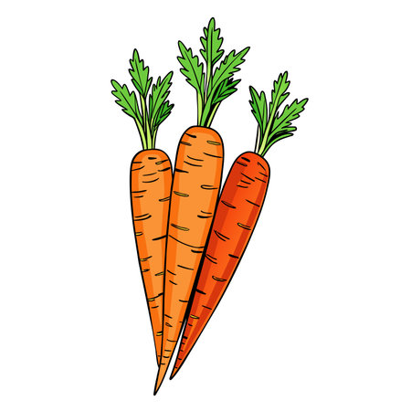 Carrot icon. Vegetable organic and healthy food theme. Isolated design. Vector illustrationのイラスト素材