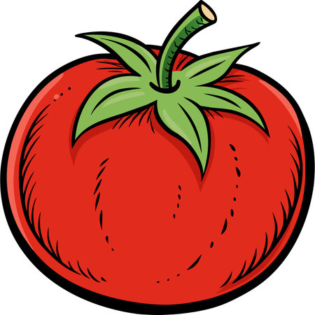 Illustration of a fresh tomato on a white background, vector illustrationのイラスト素材