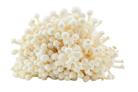 White Shimeji mushrooms isolated on white background with clipping path.