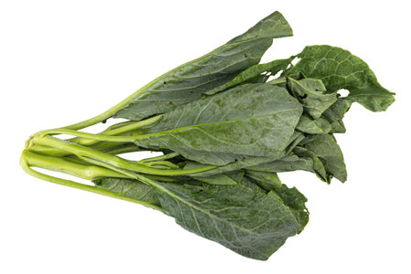 Chinese kale isolated on a white background. Clipping path included.の写真素材