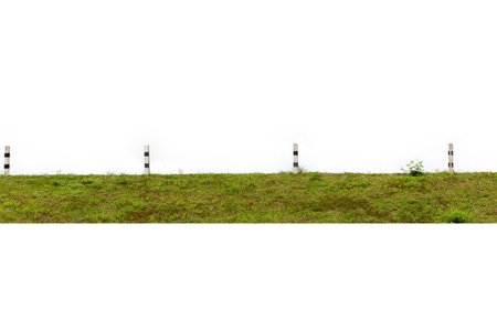 Green grass and white wall isolated on white background with clipping path.