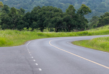 Winding asphalt road curves through the green summer landscape, leading toward the mountains under an expansive skyの写真素材