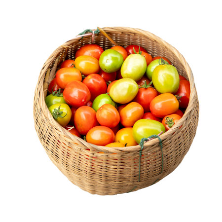 A fresh basket of juicy red tomatoes is isolated on a white backgroundの写真素材