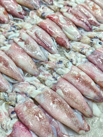 Fresh squid on ice at the market in Thailand. Close up.