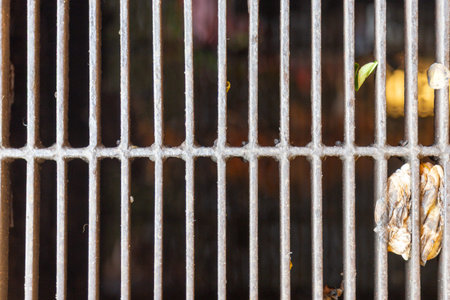 A metal drain grate on the ground, partially covered with dry leaves and small debris, providing a texture and pattern.