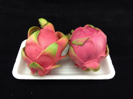 Dragon fruit on foam isolated on black background.の素材