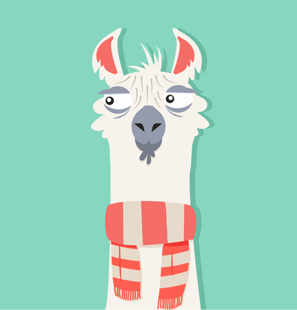 Alpaca with scarfのイラスト素材
