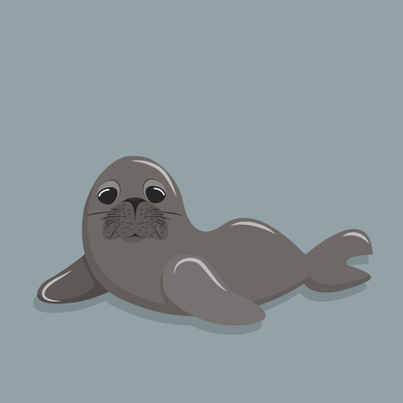 Cute seal vector illustration isolated on gray background.のイラスト素材