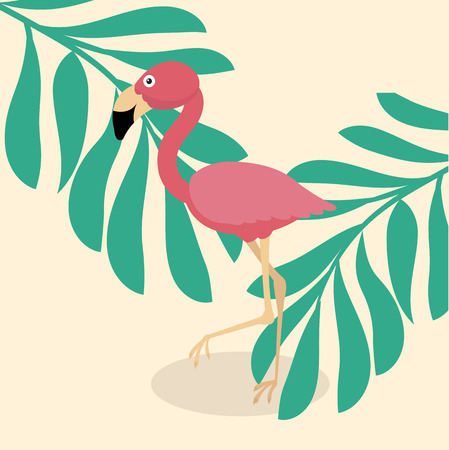 cute flamingo  tropical vectorのイラスト素材