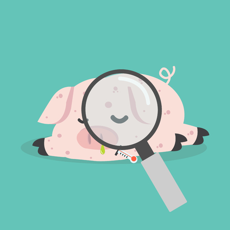 Sick Pig  Swine Flu with magnifying glassのイラスト素材