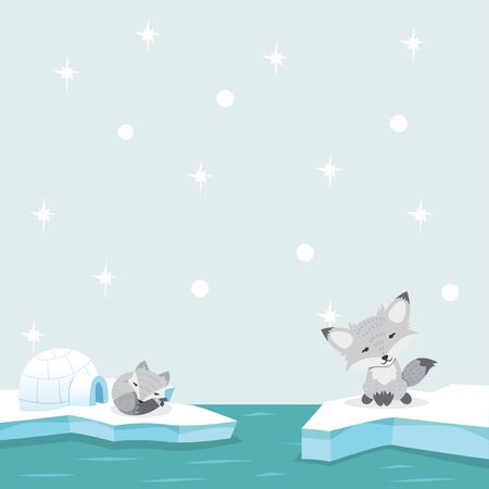 White fox north pole Arctic  in the oceanのイラスト素材