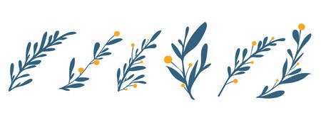collection  fern natural leaves herbs setのイラスト素材