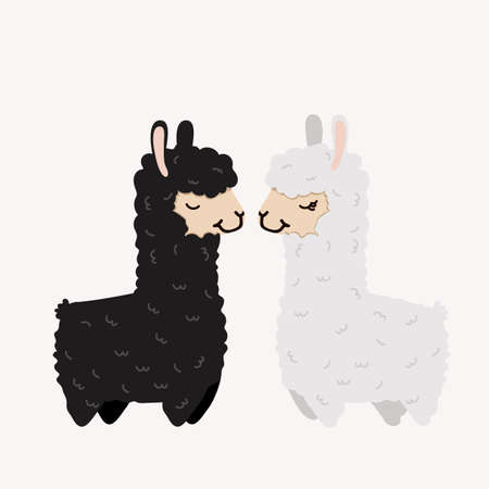 alpaca couple in love On Isolate Background vectorのイラスト素材