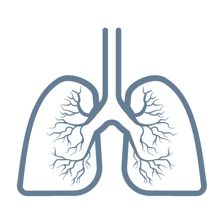 Lungs icon sign Isolated on white backgroundのイラスト素材