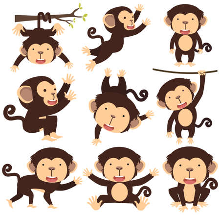 Cute monkey cartoon different poses set iconのイラスト素材