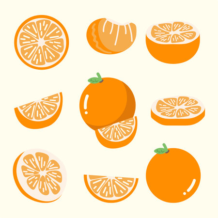 Set of Fresh Orange fruit cartoon flatのイラスト素材