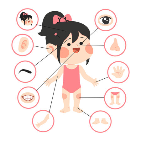 Cartoon Girl Body Parts Anatomy Illustration humanのイラスト素材