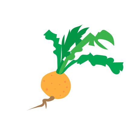 Fresh turnip vegetables logo designs iconsのイラスト素材