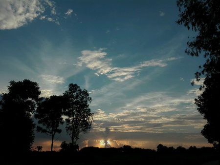 Evening light