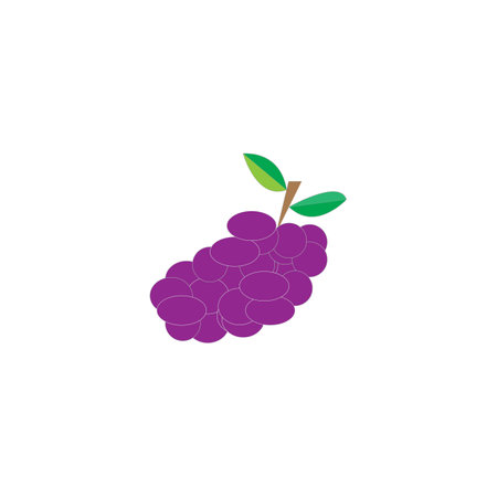 wine fruit design illustration icon logo templatのイラスト素材