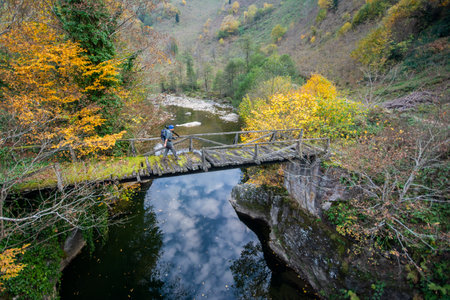 Man on the bridge over the river in autumn forest