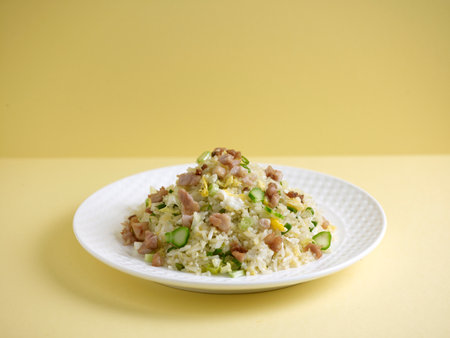 fried rice with salted fish and diced chicken served in a dish side view on grey backgroundの写真素材
